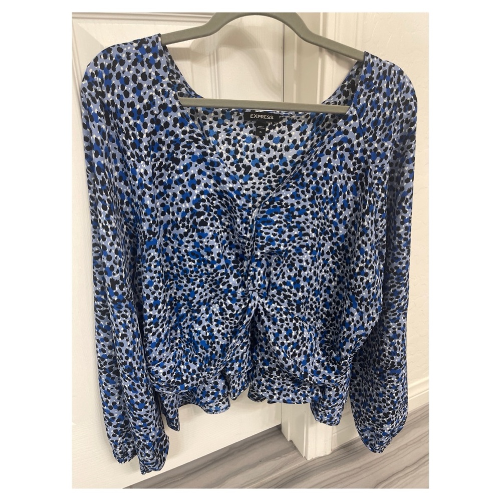 Express Blue Blouse - Picture 4 of 5